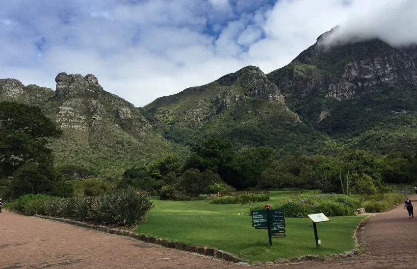 Kirstenbosch Narodowy Ogród Botaniczny w Kapsztadzie