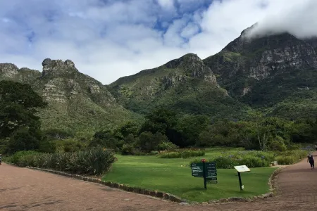 Kirstenbosch Narodowy Ogród Botaniczny w Kapsztadzie