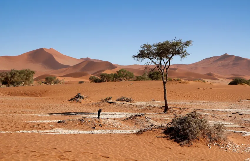 Przepiękna panorama piaszczystych wydm Sossusvlei w Namibii