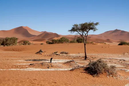 Przepiękna panorama piaszczystych wydm Sossusvlei w Namibii