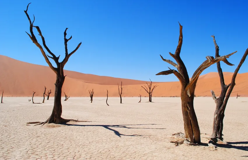 Deadvlei w Namibii – niesamowite wyschnięte jezioro na pustyni 

