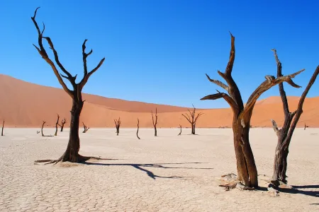Deadvlei w Namibii – niesamowite wyschnięte jezioro na pustyni 

