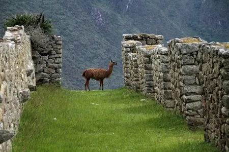 Zwiedzanie Machu Picchu - przepisy i wskazówki dla podróżników