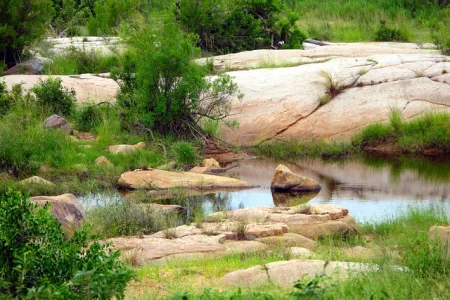 Wieczorna panorama Kruger National Park w Południowej Afryce