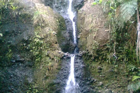Odkryj uroki Colo-i-Suva Forest Park na Fidżi